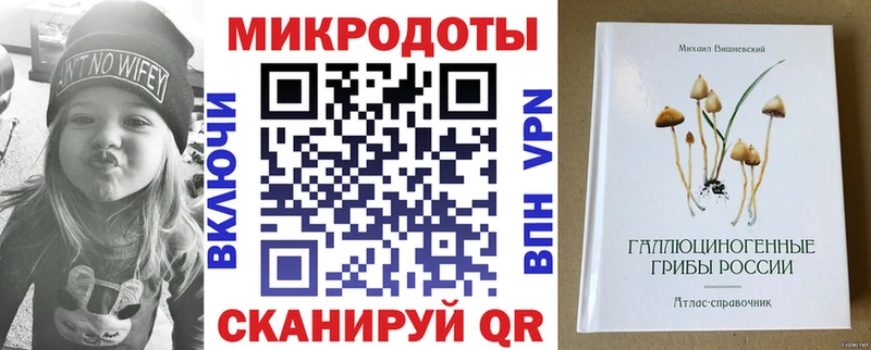 дарнет шоп  Дмитриев  Галлюциногенные грибы Psilocybine cubensis 